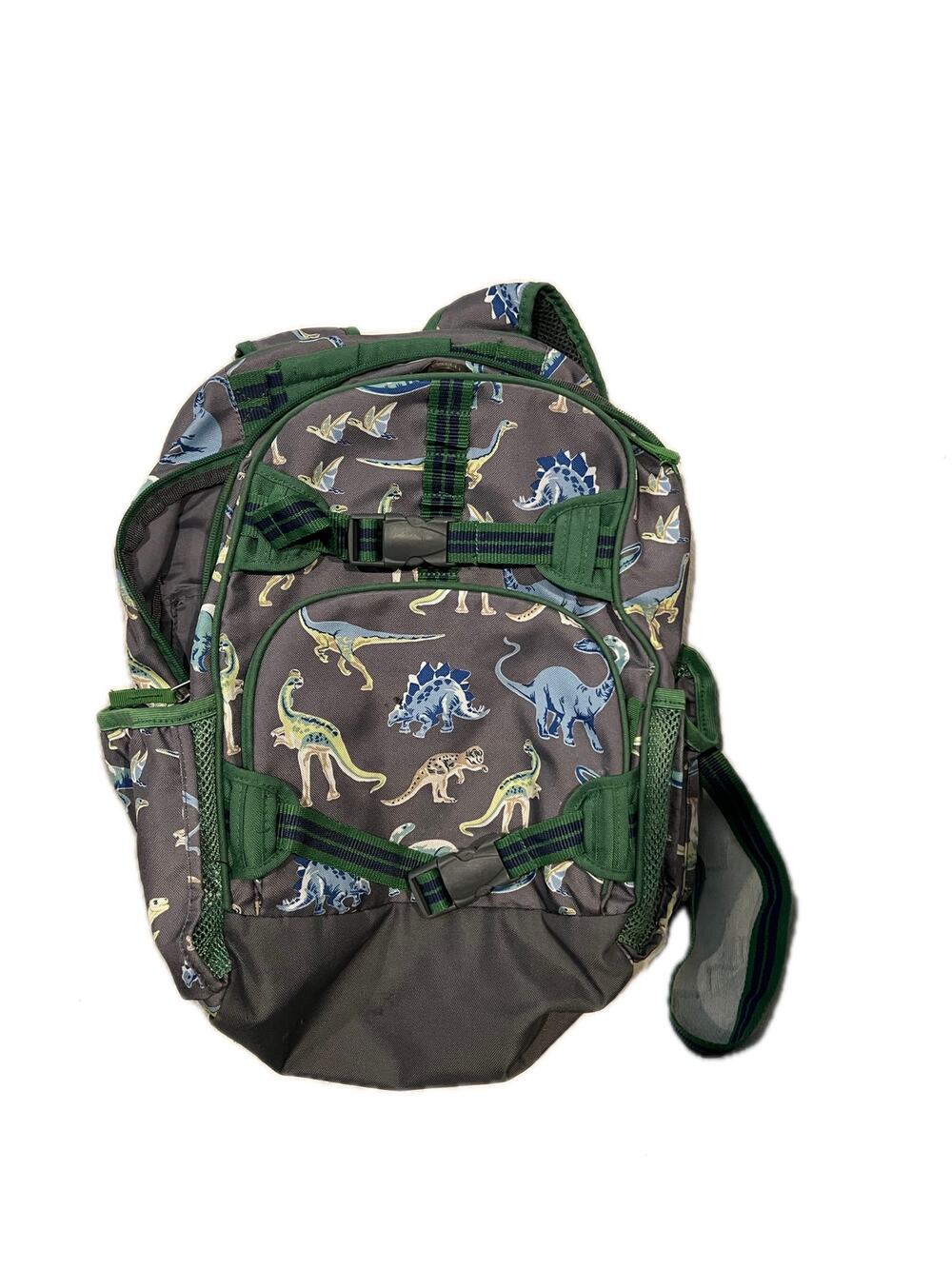 Pottery Barn Kids Boys’ Dinosaur Backpack Green/Navy